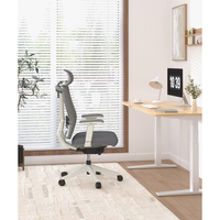 FlexiSpot ergonomic office chair in grey and white with adjustable lumbar support, headrest, and armrests.