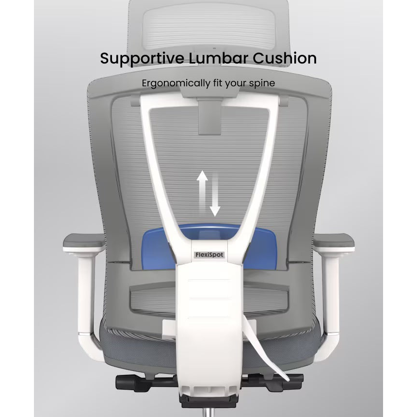 FlexiSpot ergonomic mesh office chair with adjustable lumbar support in grey and white