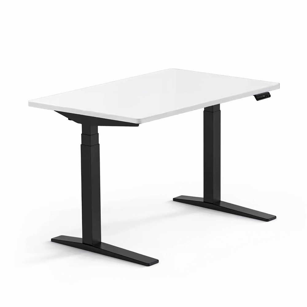 Neva x FlexiSpot E7 Pro dual-motor electric standing desk with wood top