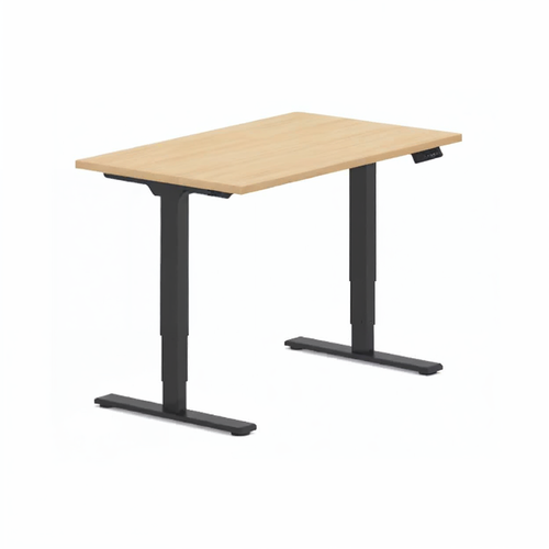 Neva x FlexiSpot E5 dual-motor electric standing desk