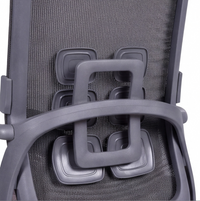 Neva Flexora Chair – headrest and high-back view