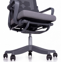 Neva Flexora Chair – seat-height adjustment view