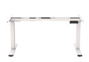 Neva X FlexiSpot E5 Electric Pro Standing Desk