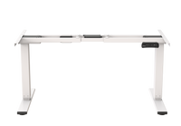 Neva X FlexiSpot E5 Electric Pro Standing Desk