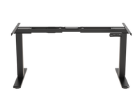 Neva X FlexiSpot E5 Electric Pro Standing Desk