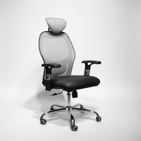 Work Pro Chair