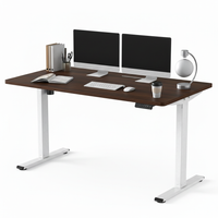 Neva X FlexiSpot Standing Desk (Single Motor)