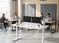 Neva X FlexiSpot Standing Desk (Single Motor)