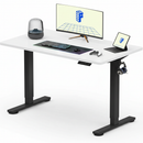 Neva X FlexiSpot Standing Desk (Single Motor)