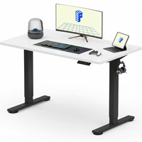 Neva X FlexiSpot Standing Desk (Single Motor)