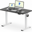 Neva X FlexiSpot Standing Desk (Single Motor)
