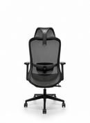 Linea Chair