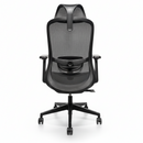 Linea Chair