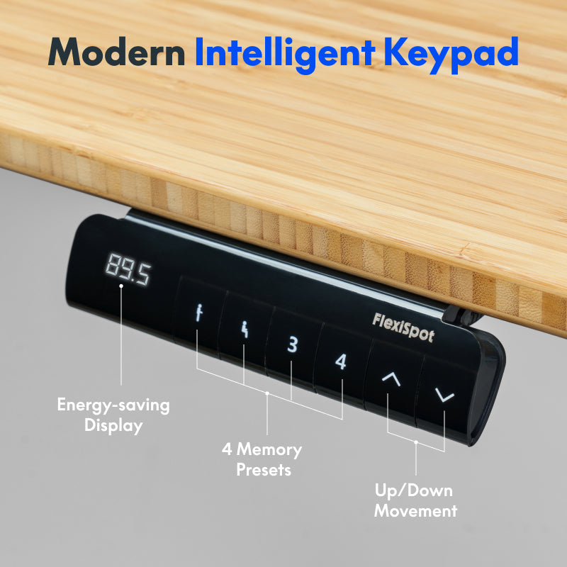 Neva × FlexiSpot E5 Lite — Electric Standing Desk (Dual Motor, 3-Stage) – product image 6