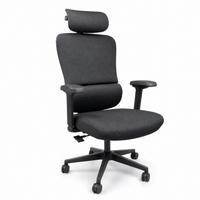 Neva Form Chair - fully imported fabric office chair