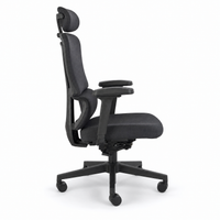 Neva Form Chair with moulded foam seat and segmented back support