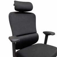 Neva Form Chair with adjustable armrests and five-star caster base
