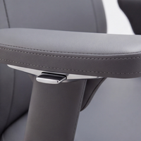 Neva Hyperion Chair