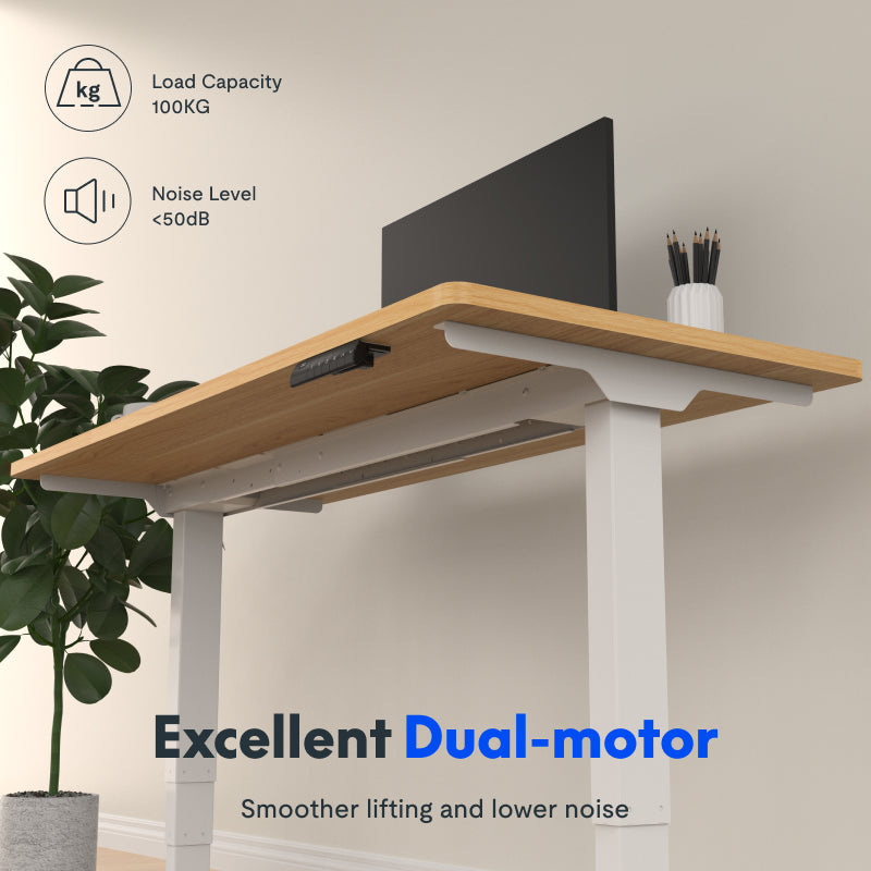 Neva × FlexiSpot E5 Lite — Electric Standing Desk (Dual Motor, 3-Stage) – product image 5