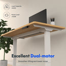 Neva X FlexiSpot E5 Lite Electric Standing Desk ( Dual Motor 3 stage )