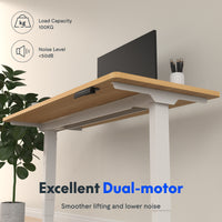 Neva X FlexiSpot E5 Lite Electric Standing Desk ( Dual Motor 3 stage )