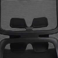 Neva Brix chair adjustable lumbar support close-up