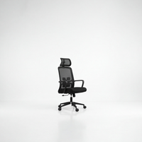 Neva Brix ergonomic office chair in Black, full view