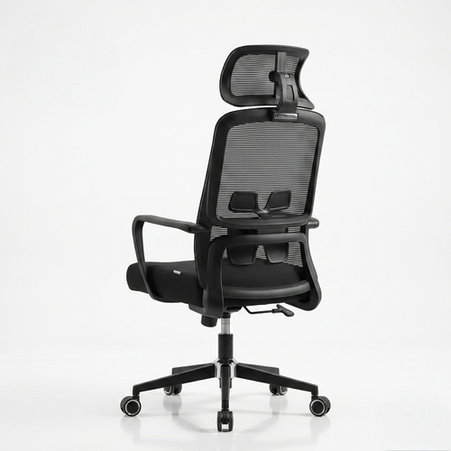 Neva Brix ergonomic chair in Black, rear view with lumbar support