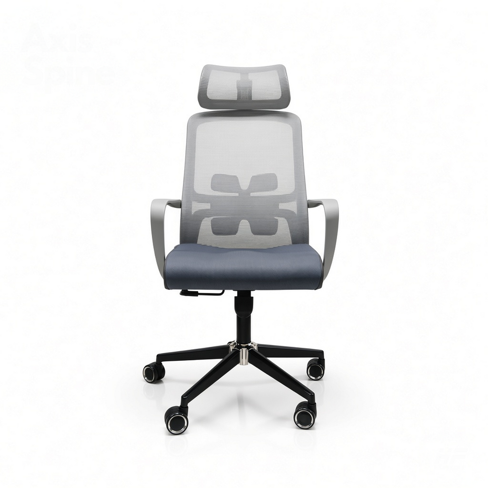 Neva Brix ergonomic chair in Grey, front view