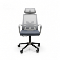 Neva Brix ergonomic chair in Grey, front view
