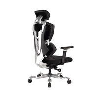 Neva Fortex Chair rear three-quarter view on pure white background