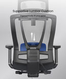 Neva Furniture ergonomic mesh office chair with adjustable blue lumbar support and headrest. Black frame.
