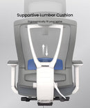 Neva Furniture ergonomic mesh office chair with adjustable lumbar support in grey and white