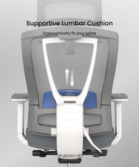 Neva Furniture ergonomic mesh office chair with adjustable lumbar support in grey and white