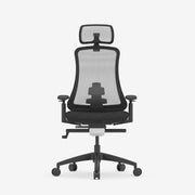 FlexiSpot Sheer Ergonomic Office Chair