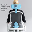 Neva Furniture Sheer ergonomic office chair with adjustable blue lumbar support and headrest, shown from the back.