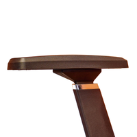 Neva Vero black arm pad and upright close-up, with the narrow chrome collar shown in the original photograph.