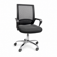 Neva Loop Ergonomic Chair