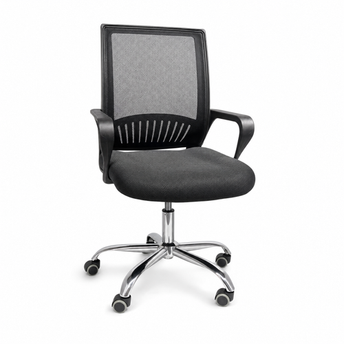 Neva Loop Ergonomic Chair