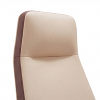 Neva Vale Chair padded backrest and integrated headrest detail