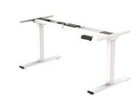 Neva X FlexiSpot E5 Electric Pro Standing Desk