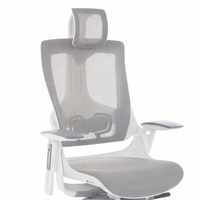 Neva Merryfair Wau V2 Premium Ergonomic Chair