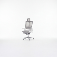 Neva Merryfair Wau V2 Premium Ergonomic Chair