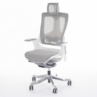 Neva Merryfair Wau V2 Premium Ergonomic Chair