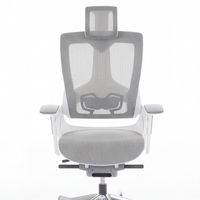 Neva Merryfair Wau V2 Premium Ergonomic Chair